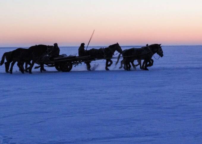 查干湖冬捕纪录片全集,查干湖冬捕地点在哪里