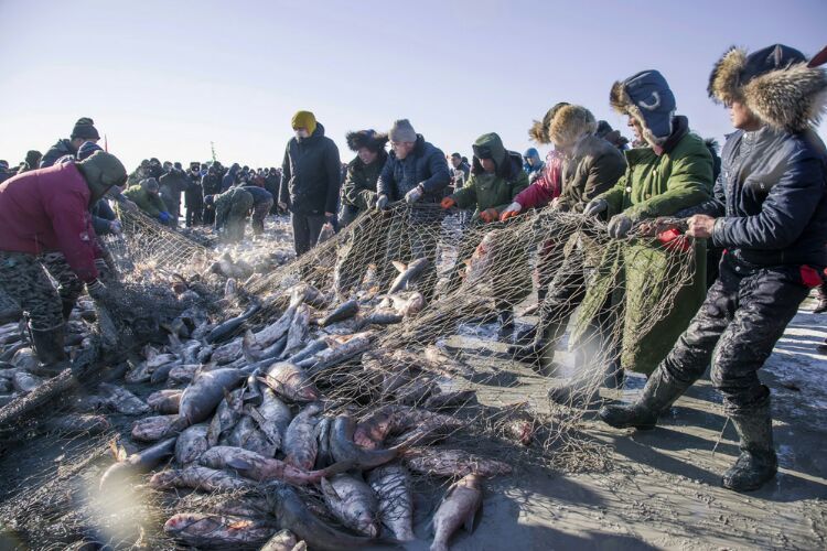 查干湖冬捕纪录片全集,查干湖冬捕地点在哪里