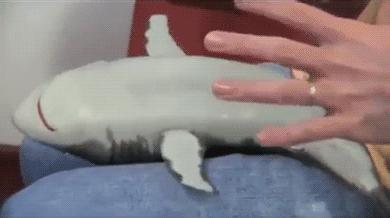 这哥们的自行车如此拉风，你知道是多少钱买来的吗？