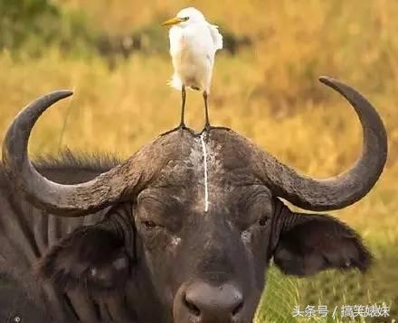 天太晚了，你要不就在这过夜吧