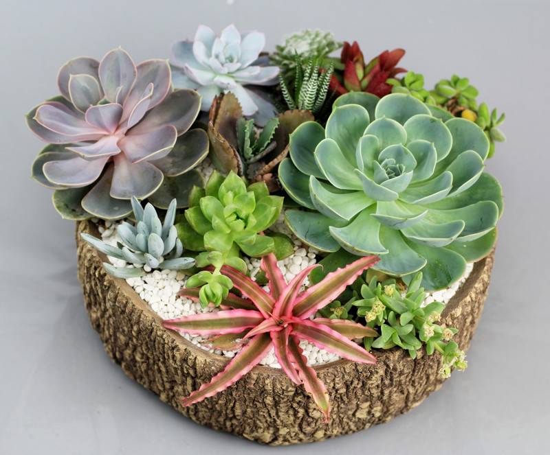 鏈変粈涔堢粡涔呬笉琛扮殑鍝佺墝,閭ｄ簺涓嶄负浜虹煡鐨勯《绾уア渚堝搧鍝佺墝