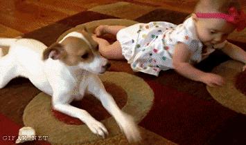 上课爱抢答,上课爱抢答的孩子