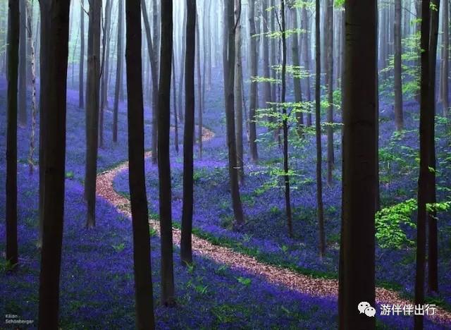 游伴伴|2016年最让人叹为观止的照片!