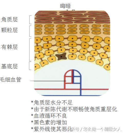 教你快速改善皮肤暗黄!