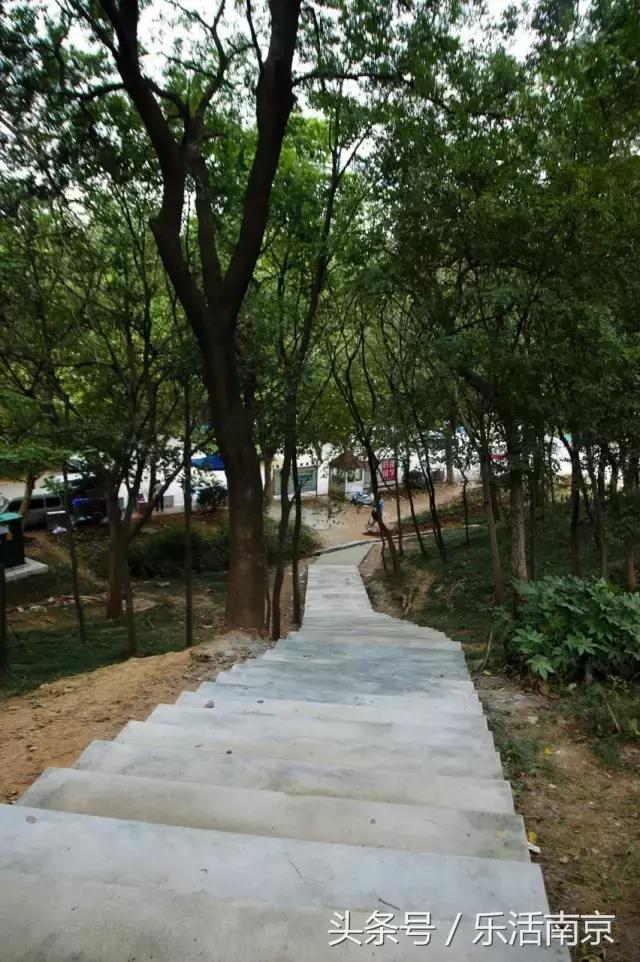 如果可以,请留在南工!浦珠南路30号,留下了我太多的青春!