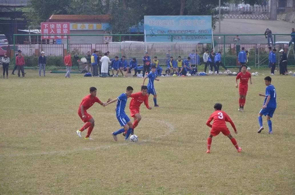 杨璞谈青训,杨璞回忆徐云龙