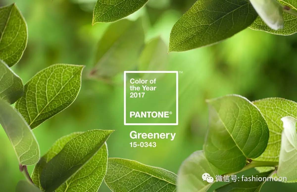 pantone2019年流行色都有什么,pantone2023流行色英文视频