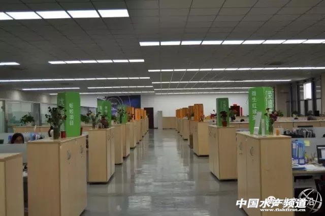 鱼虾住进光伏大棚，“头顶”还能发电