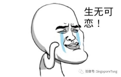 新加坡最搞笑的翻译,盘点那些搞笑皇家翻译