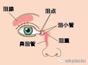 你为什么频繁眨眼,我们为什么经常不由自主的眨眼睛