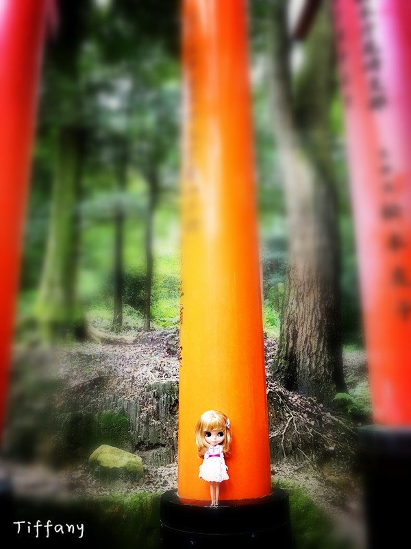 京都10月旅游攻略,京都枫叶季一日游