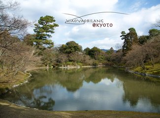 逛不尽的东瀛－二刷日本十五天