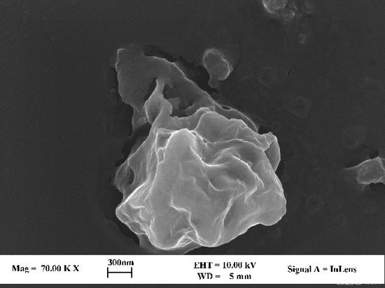 超声波加湿器会导致pm2.5吗,超声波加湿器噪音大什么原因