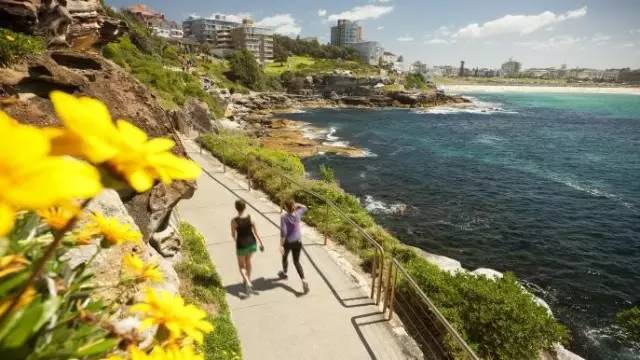 这几个国家太诱惑，直飞、免签、路边就能吃到米其林、国家公园免费一整年，是时候策划一场明年的旅行了！