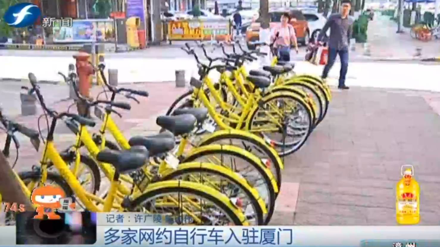 网约车绕圈厦门最新消息,网约车市场稳步前进