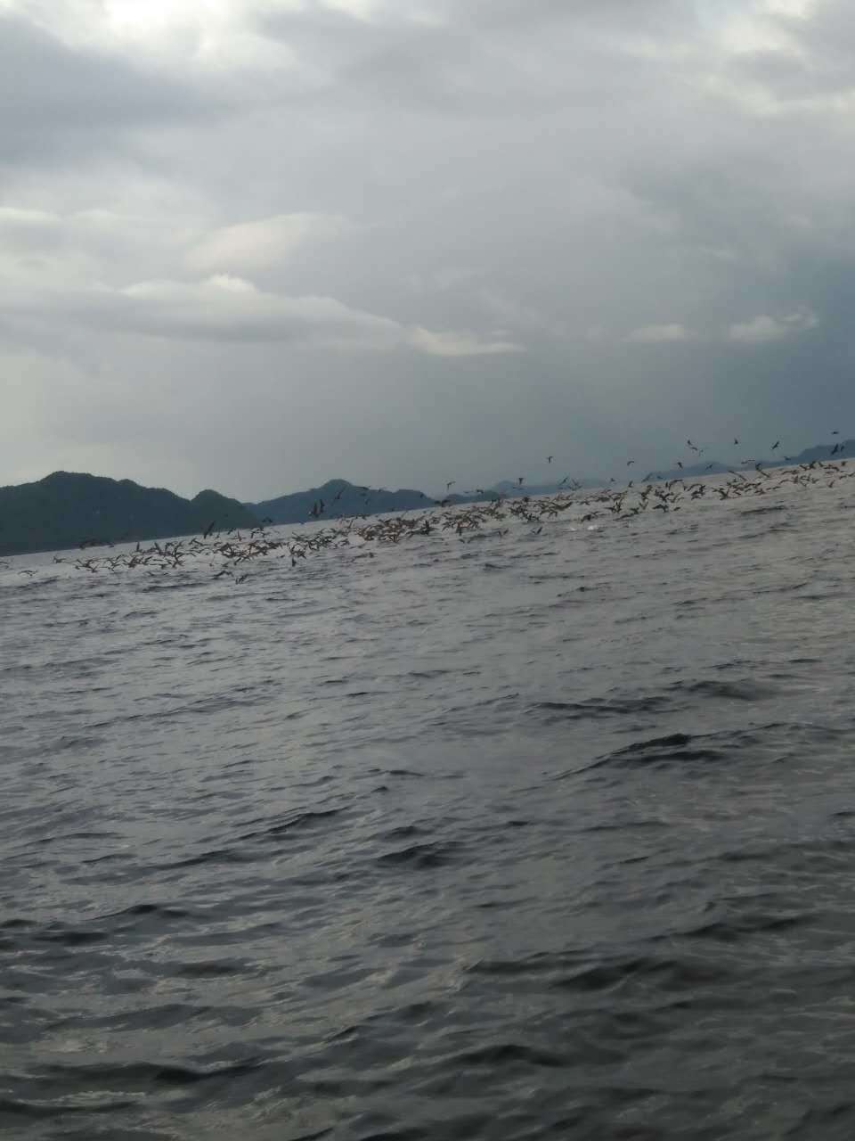 帕劳旅行攻略大全图文,帕劳旅行攻略图文大全