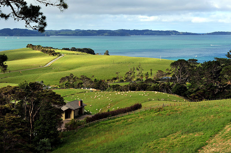 如何挑选蜂蜜的正确方法,蜂蜜怎么挑选才正宗