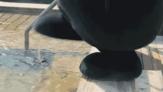 运城温泉门票热卖,运城附近的温泉哪里好