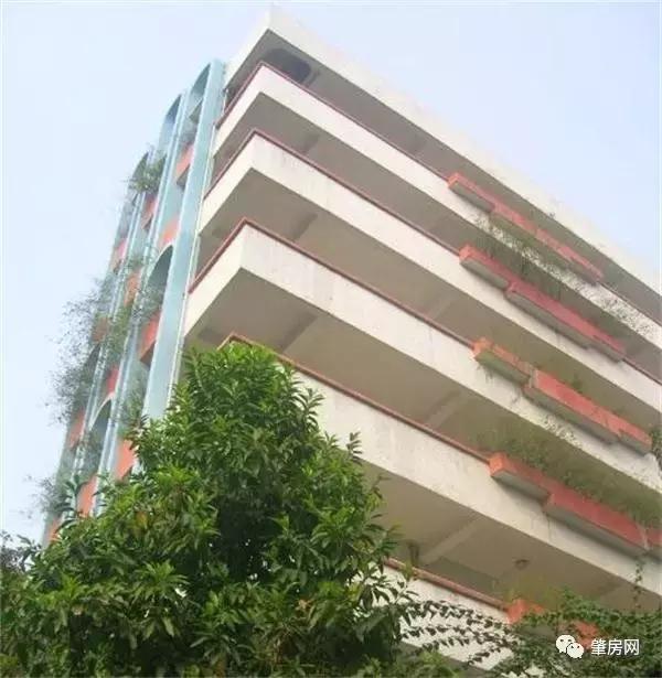 2021年端州学区划分表,2019肇庆端州学区划分