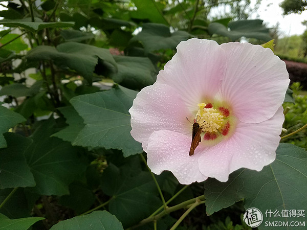 三星s7edge用户感受,三星s7edge还能用吗