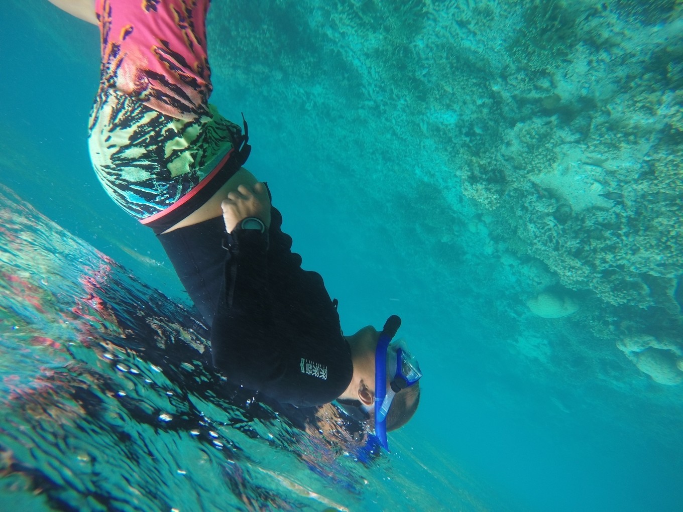 帕劳旅行攻略大全图文,帕劳旅行攻略图文大全