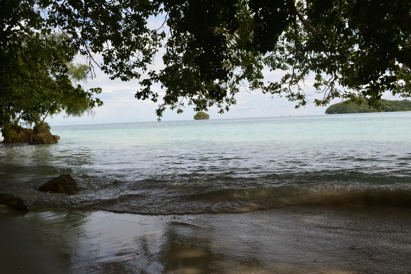 帕劳旅行攻略大全图文,帕劳旅行攻略图文大全