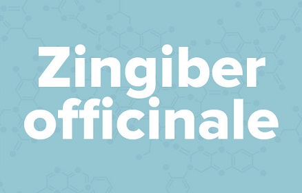 苹果的英文不是apple,苹果的英文发音是apple还是apple