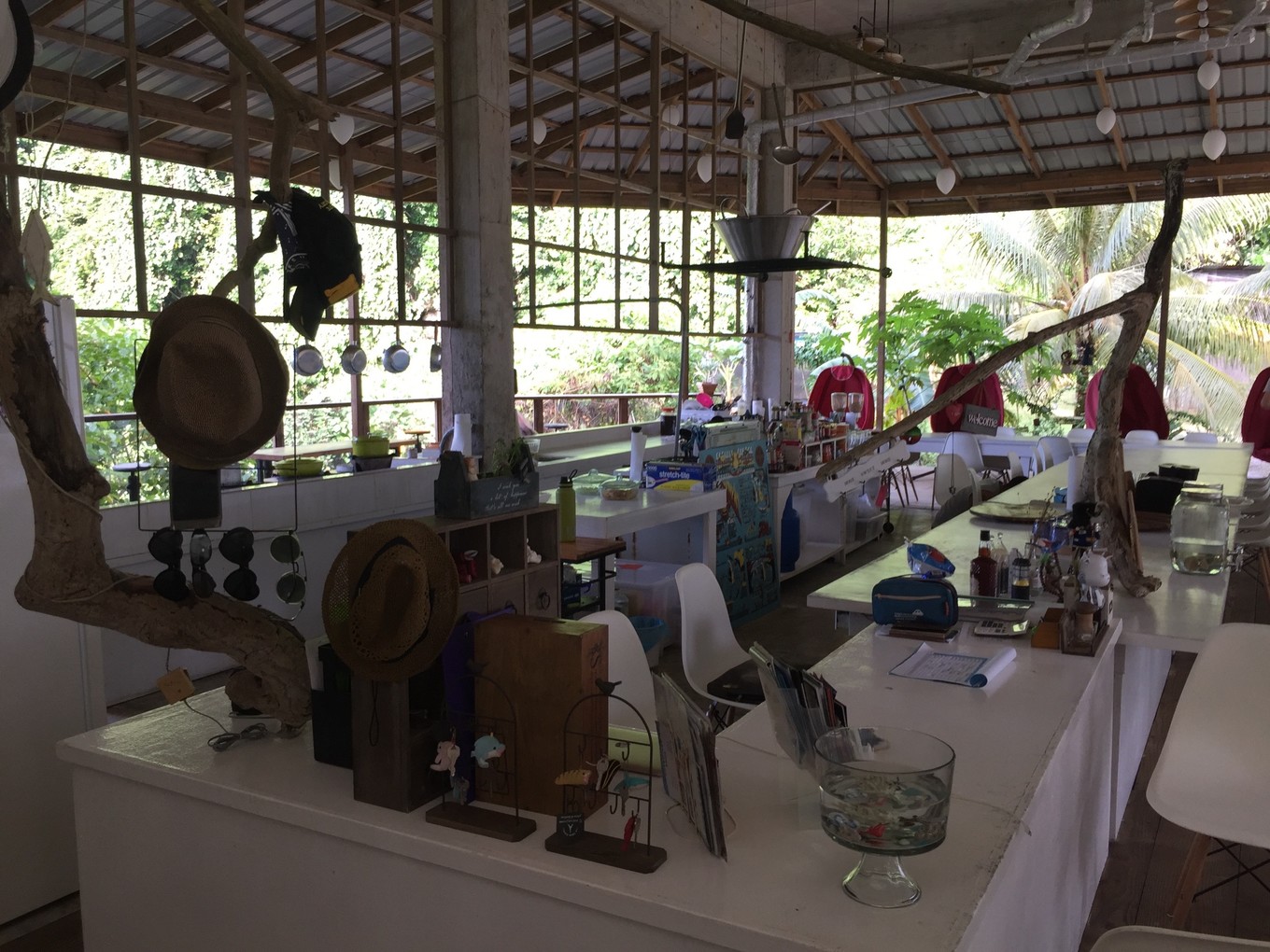 帕劳旅行攻略大全图文,帕劳旅行攻略图文大全