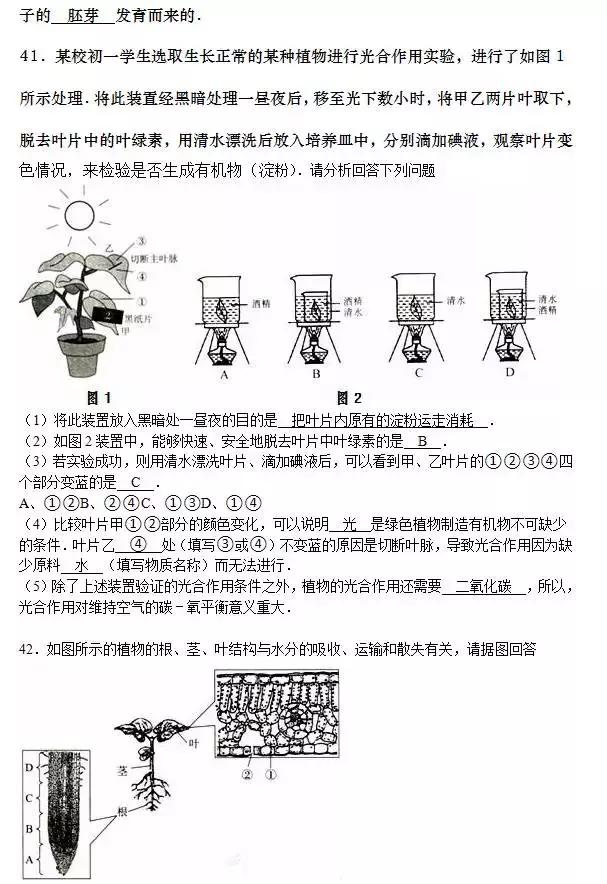 七年级上册生物期末试卷2021安徽,七年级生物人教版期末试卷带答案