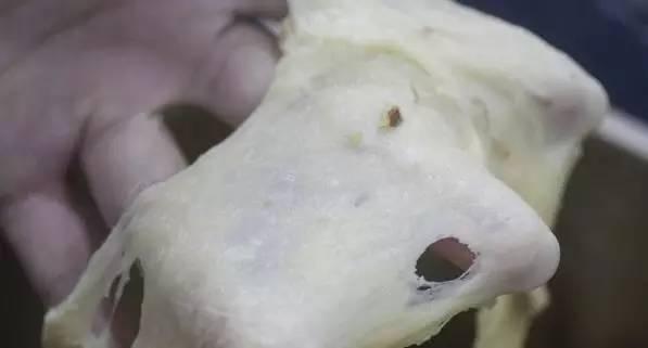 面包烘焙制作教程及配方,面包制作教程及配方烘焙