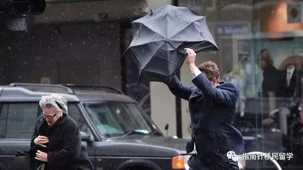 代购心酸历程,澳洲直邮车厘子