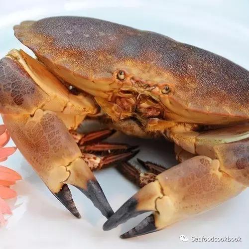 清蒸面包蟹的清洗与做法,鲜活面包蟹一般要蒸多少分钟