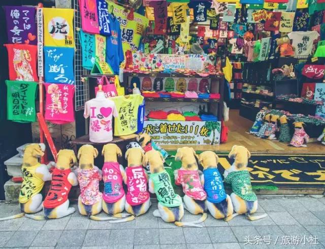 鐞夌悆涔嬭摑鎭嬫垬鍐茬怀,鎭嬫垬鍐茬怀铚滄湀涔嬫梾