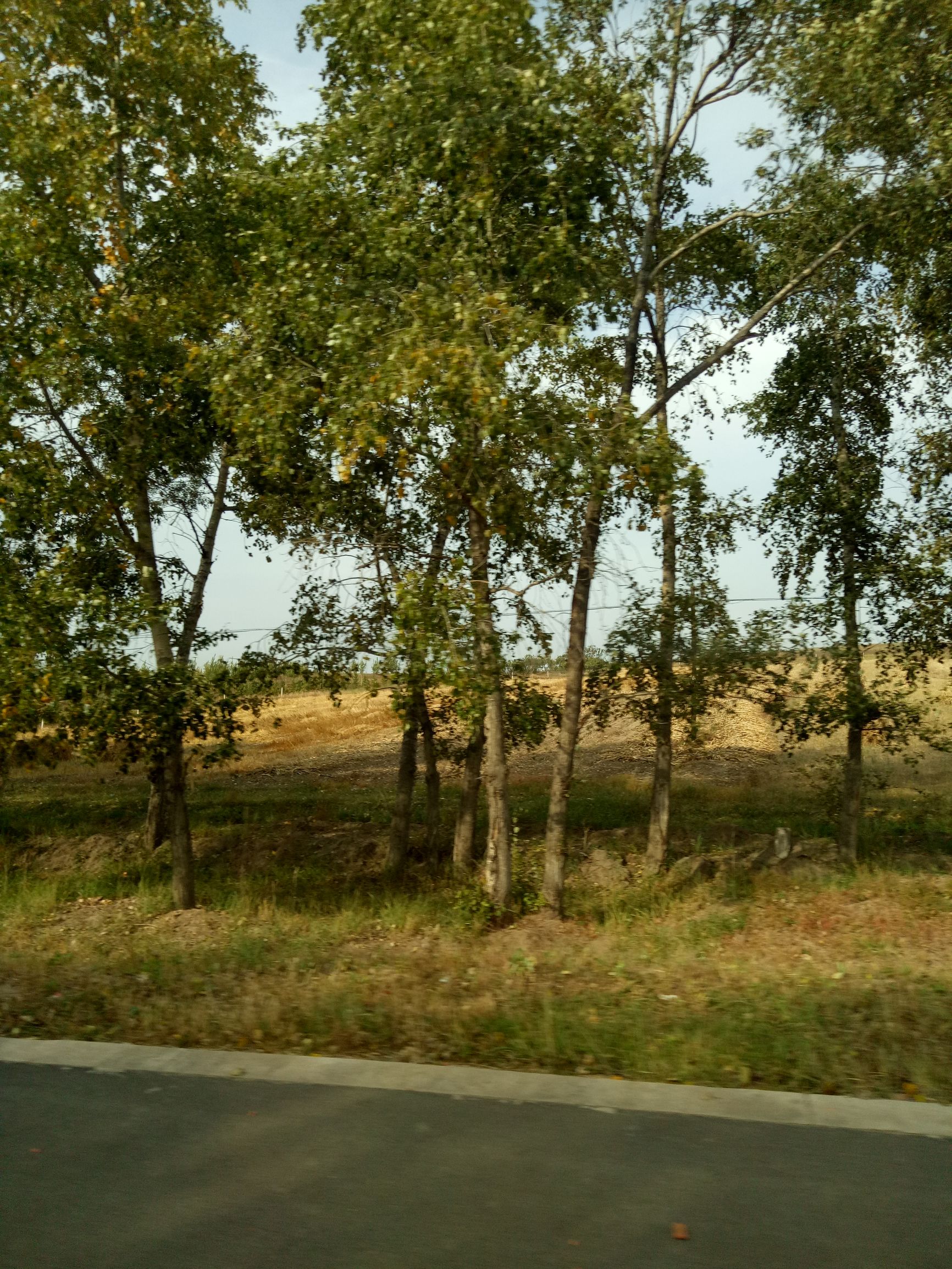 张北天路行,深度还原张北天路