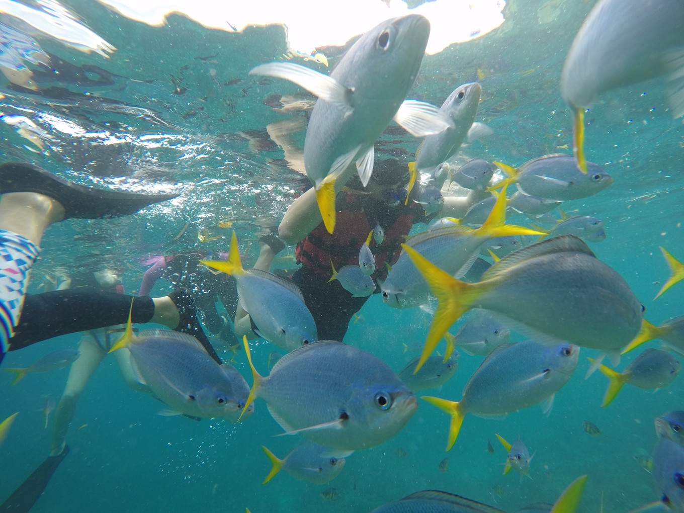 帕劳旅行攻略大全图文,帕劳旅行攻略图文大全