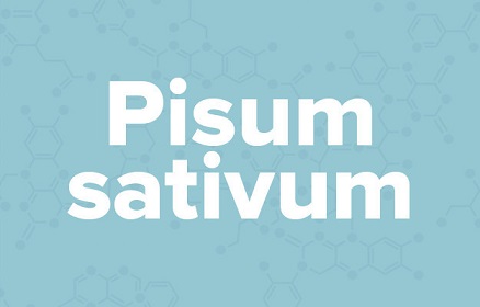 苹果的英文不是apple,苹果的英文发音是apple还是apple