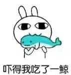 牙震荡会导致脑震荡吗,脑震荡和脊髓震荡一样吗