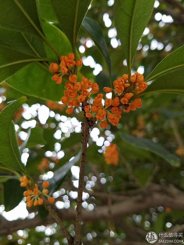 三星s7edge还能用吗,三星s7edge现在系统流畅吗