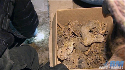 俄罗斯扑杀流浪狗,俄罗斯人扑杀流浪狗