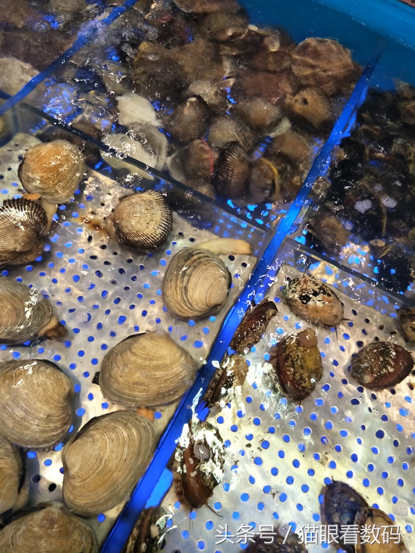 oppor9splus7.1,oppor9splus还值得买吗