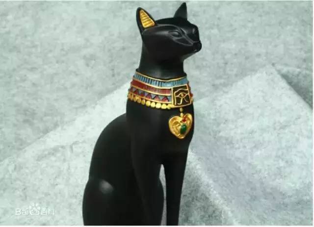 动物命真的不如人命吗,动物为什么都长得差不多