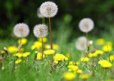英语电影台词经典语录,英语经典电影台词