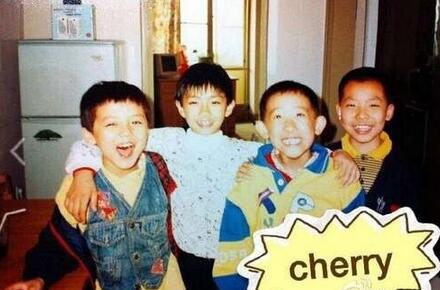 鹿晗有多耿直,鹿晗的耿直视频