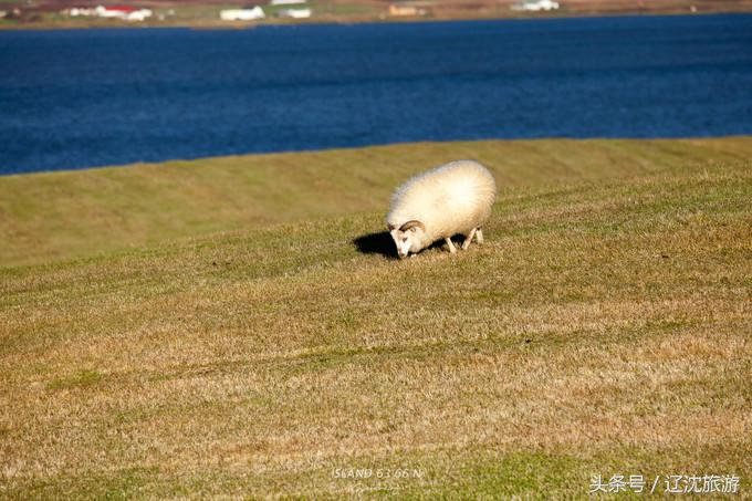 冰岛的两点自然奇景,真实的冰岛全景