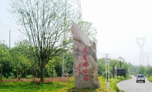 株洲哪趟公交车风景最好,株洲站旅游路线