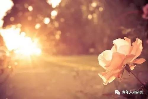 考研没考上下步该怎么办,当考研遇上期末