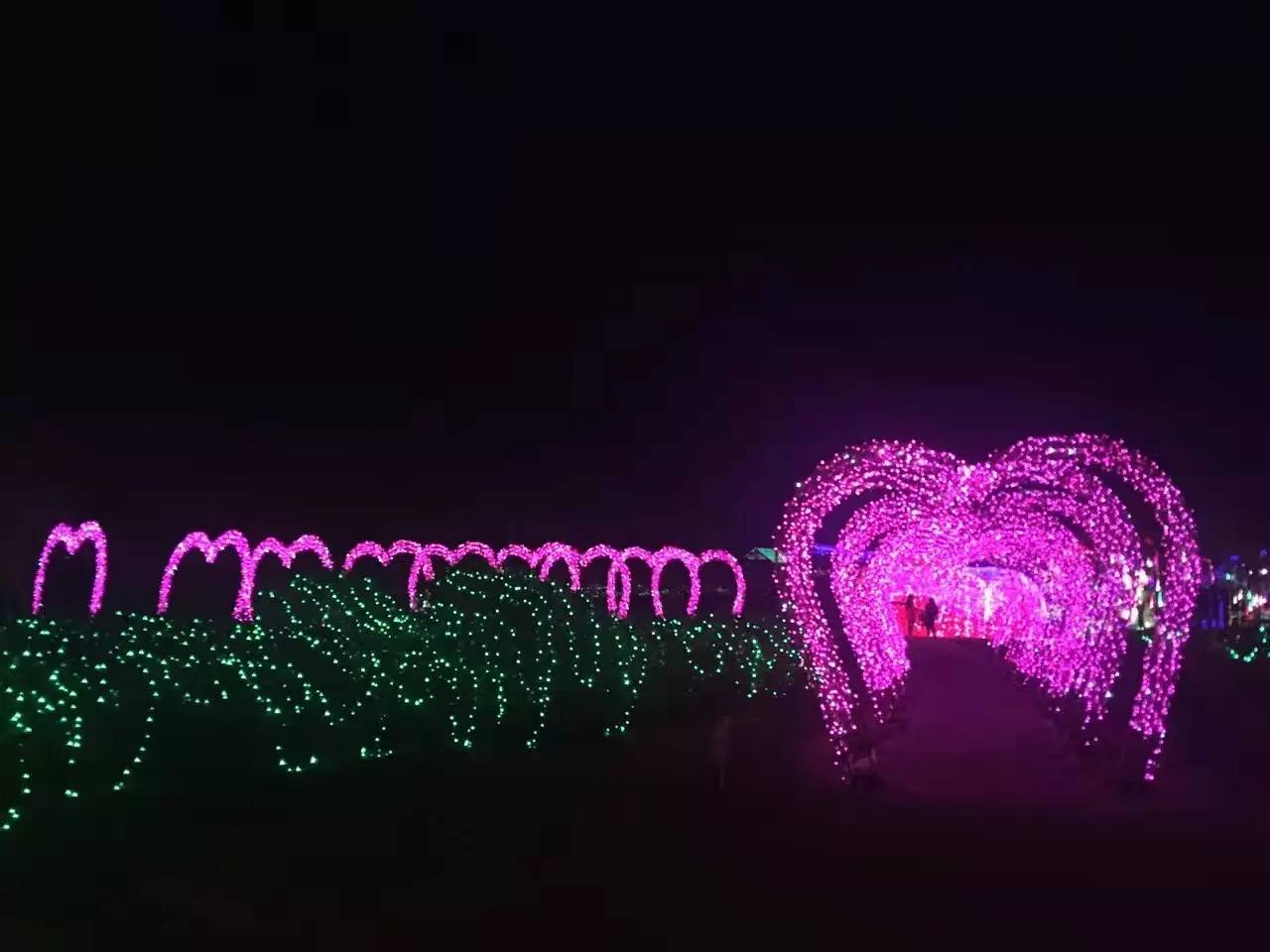 南宁格桑花,助力赢门票