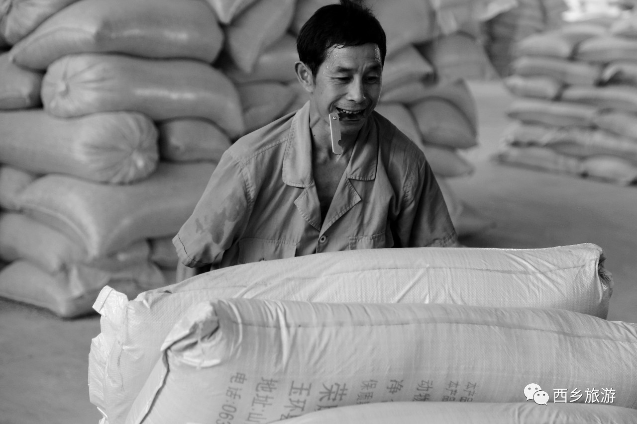 中国美劳动美主题摄影,劳动最美摄影大赛作品护士