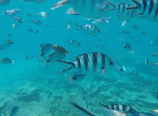 毛里求斯个人集锦,毛里求斯全部记录