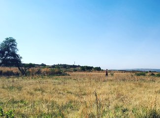 南非彩虹之旅由来,南非彩虹之旅